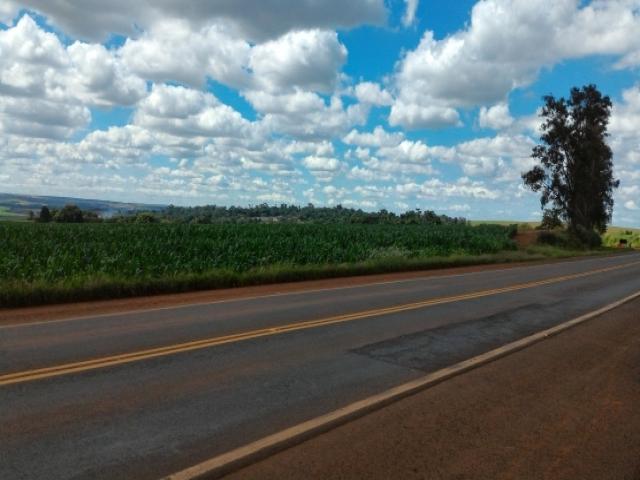 Sítio para Venda em Londrina - 3
