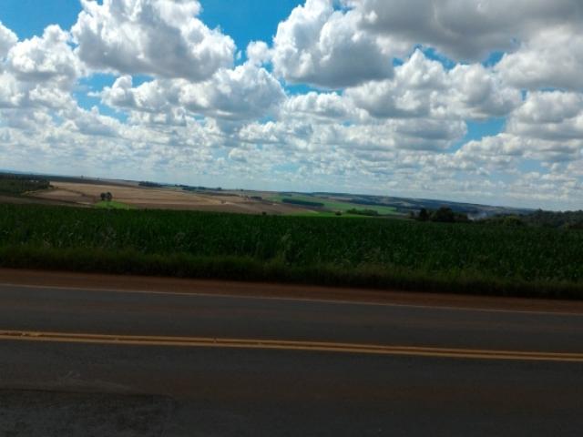 Sítio para Venda em Londrina - 4