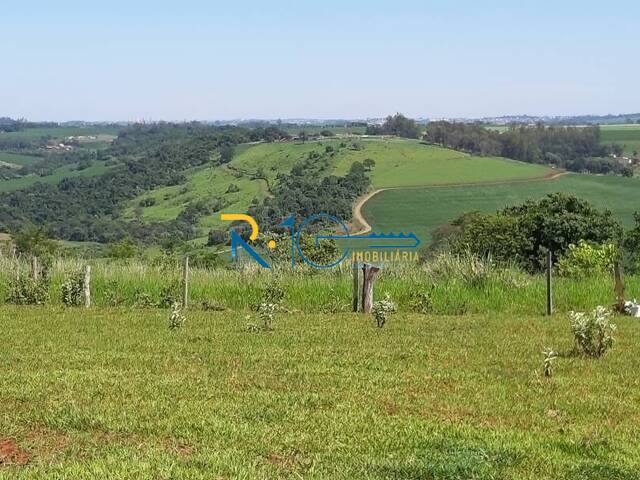 Sítio para Venda em Londrina - 4
