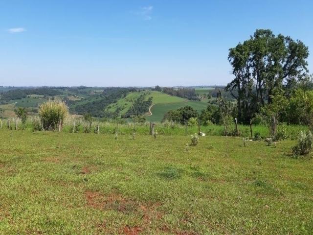 #198 - Sítio para Venda em Londrina - PR