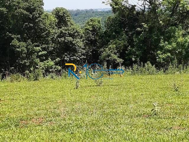 Sítio para Venda em Londrina - 5