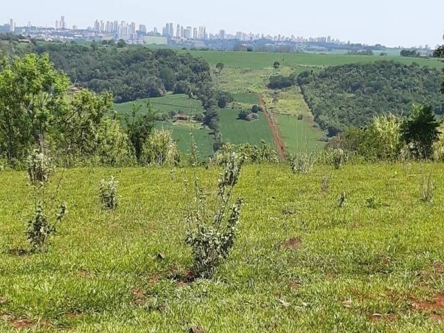 #198 - Sítio para Venda em Londrina - PR