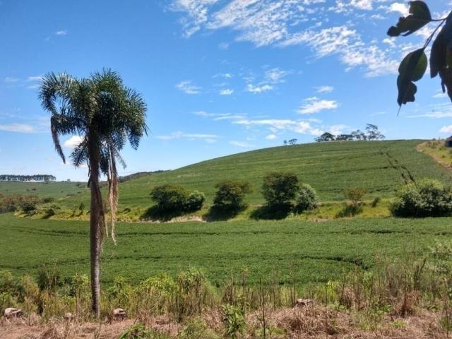 Venda em Rio Branco - Tamarana