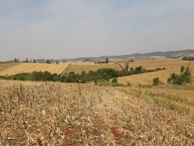 Venda em Zona Rural - Jataizinho