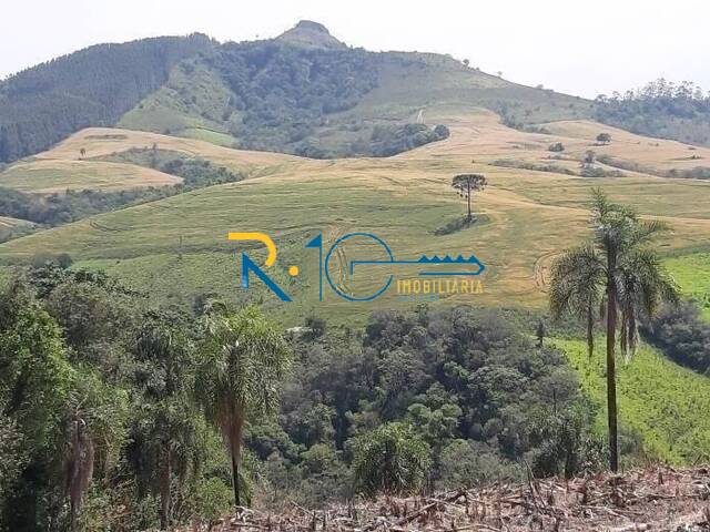 Fazenda para Venda em Reserva - 4