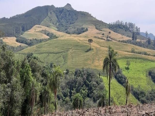 #097 - Fazenda para Venda em Reserva - PR - 2