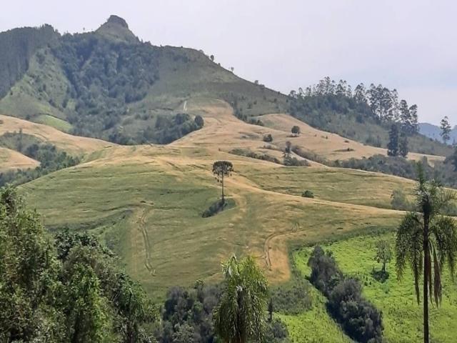 #097 - Fazenda para Venda em Reserva - PR - 1