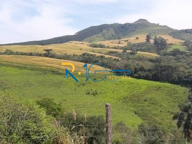 Fazenda para Venda em Reserva - 5