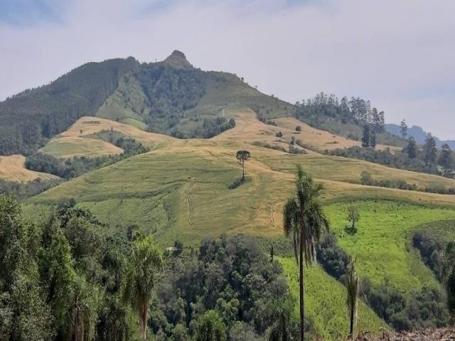 #097 - Fazenda para Venda em Reserva - PR - 3