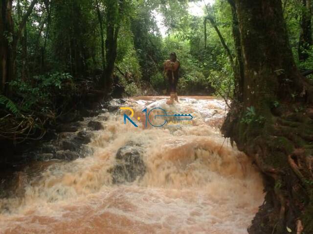 Chácara para Venda em Londrina - 4
