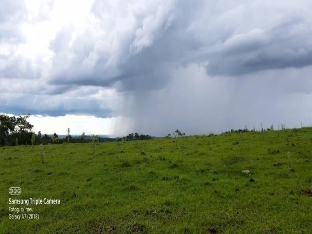 #301 - Sítio para Venda em Bela Vista do Paraíso - PR - 2