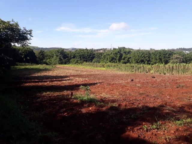 #304 - Chácara para Venda em Londrina - PR