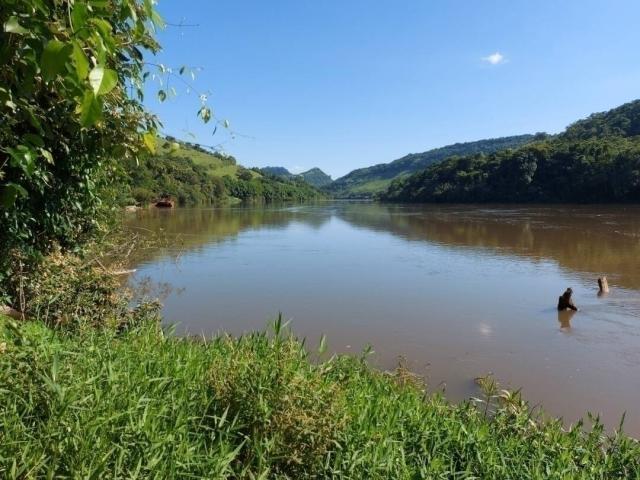 Sítio para Venda em Londrina - 2