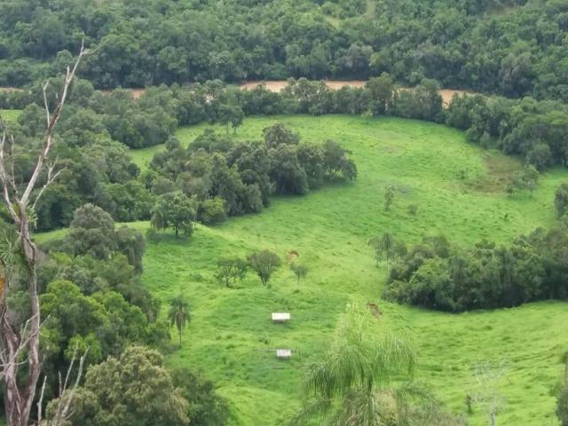 #319 - Fazenda para Venda em Manoel Ribas - PR - 2