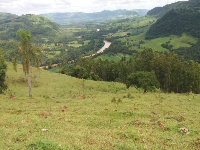 #319 - Fazenda para Venda em Manoel Ribas - PR - 3