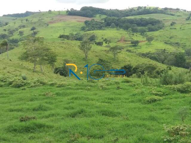 Fazenda para Venda em Manoel Ribas - 4
