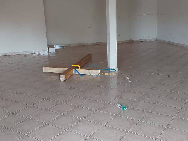 Edícula para Locação em Londrina - 4