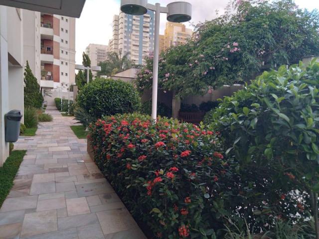Apartamento para Venda em Londrina - 3