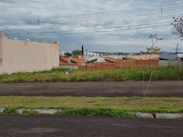 Terreno para Venda em Londrina - 1