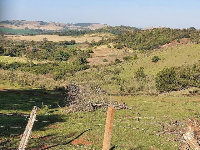 #359 - Sítio para Venda em Londrina - PR - 1