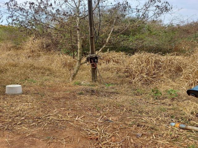 Sítio para Venda em Londrina - 4