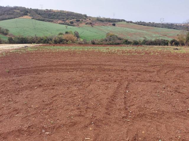 Sítio para Venda em Londrina - 5