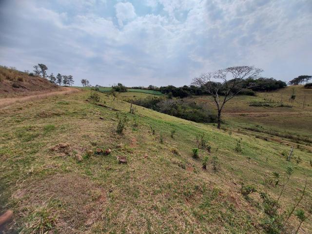 Sítio para Venda em Londrina - 1