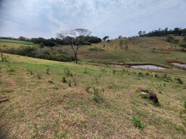 Sítio para Venda em Londrina - 2