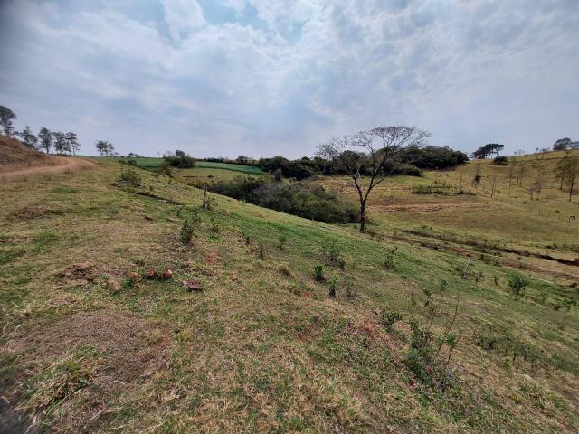 Sítio para Venda em Londrina - 3