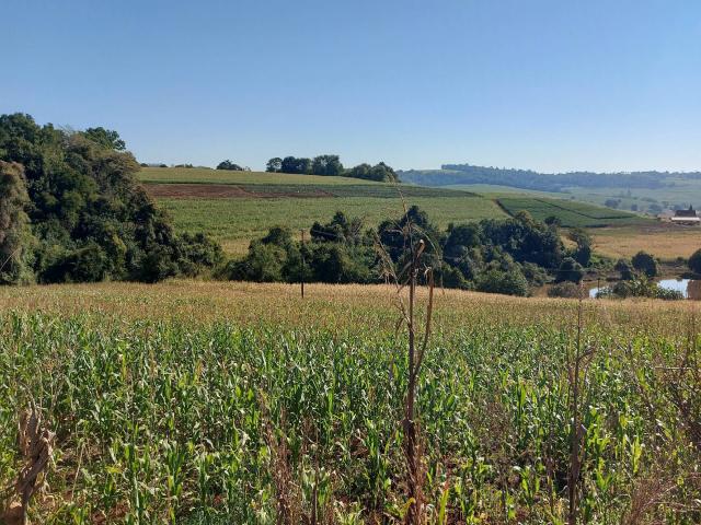 Venda em zona rural - Sertanópolis