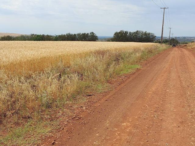 #430 - Sítio para Venda em Ibiporã - PR - 1