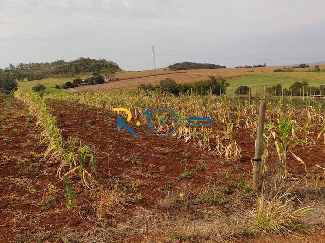 Chácara para Venda em Jataizinho - 5