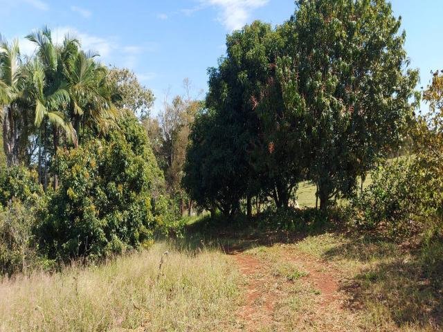 Venda em Irerê - Londrina