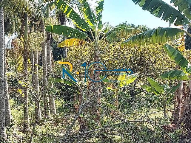 Chácara para Venda em Londrina - 4