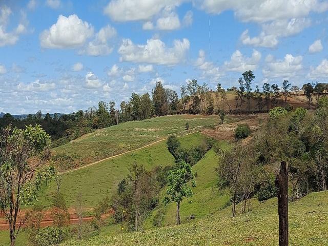 #480 - Chácara para Venda em Londrina - PR - 1