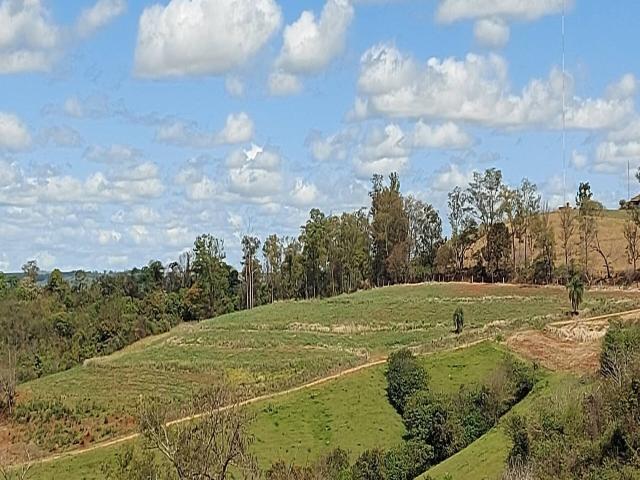 #480 - Chácara para Venda em Londrina - PR - 2