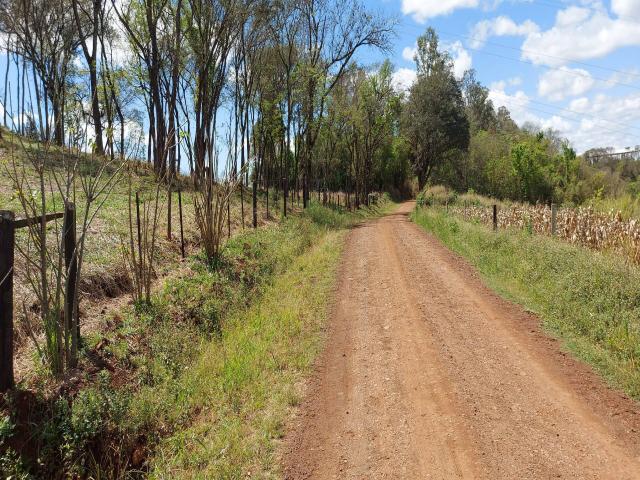 Venda em Selva - Londrina