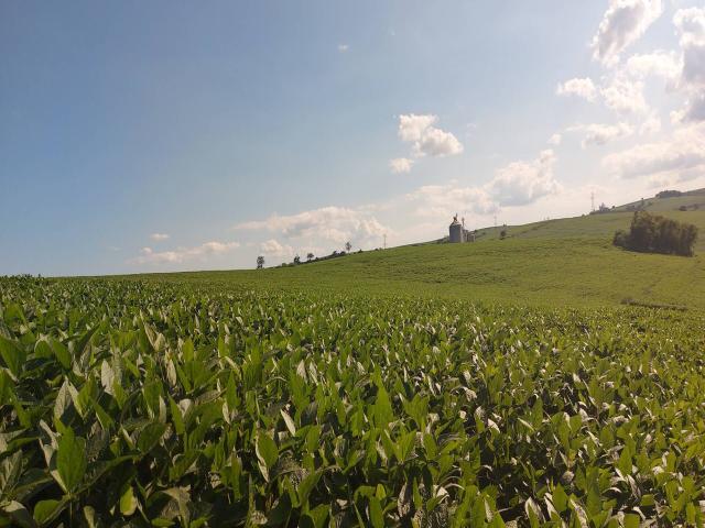 Venda em São Luiz - Londrina