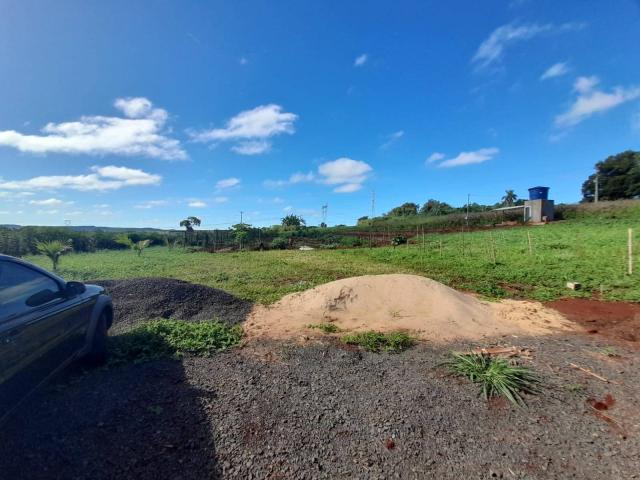 #537 - Chácara para Venda em Londrina - PR - 3