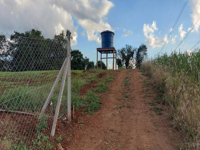 Venda em Selva - Londrina