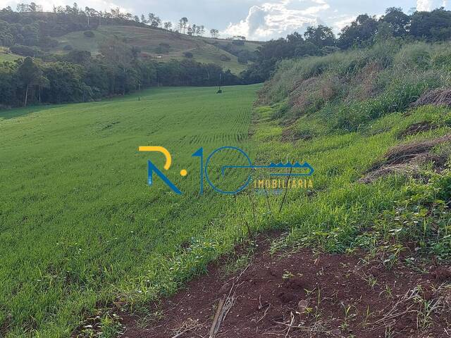 Sítio para Venda em Londrina - 4