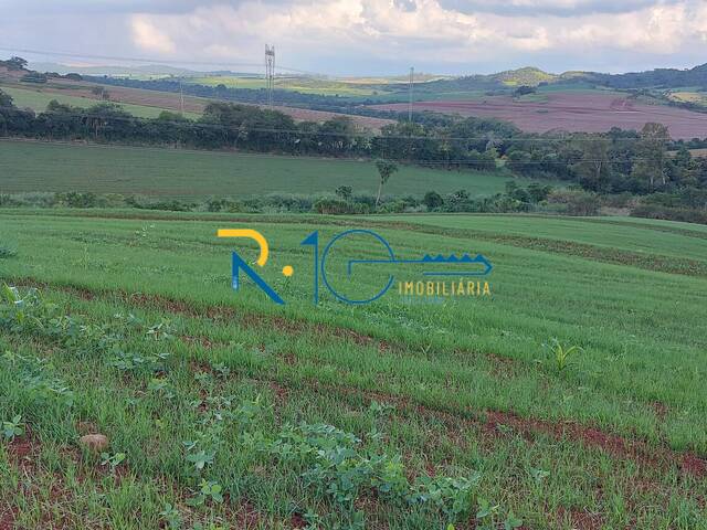 Sítio para Venda em Londrina - 5