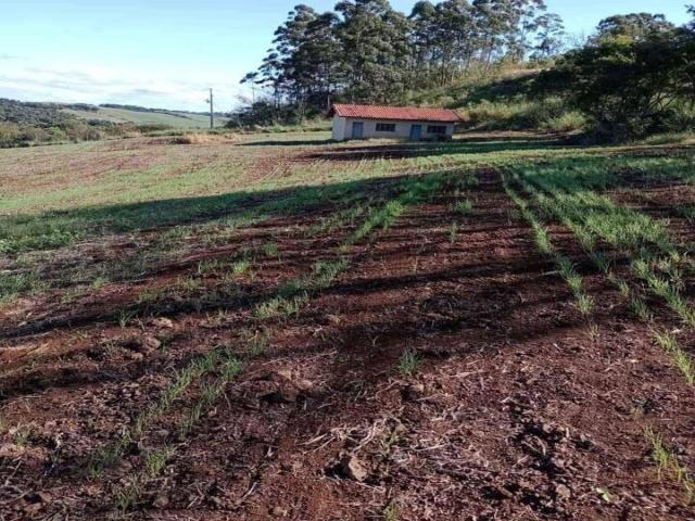 #551 - Sítio para Venda em Abatiá - PR