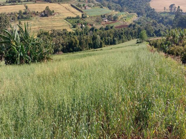 Venda em LERROVILLE - Tamarana