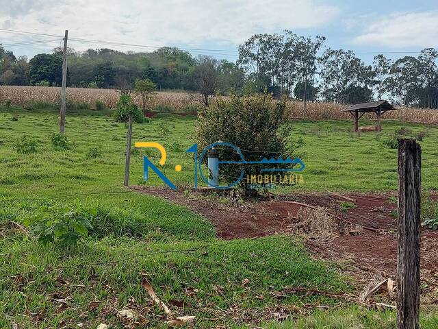 Sítio para Venda em Londrina - 5