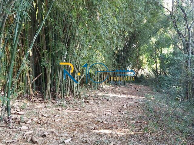 Sítio para Venda em Londrina - 5