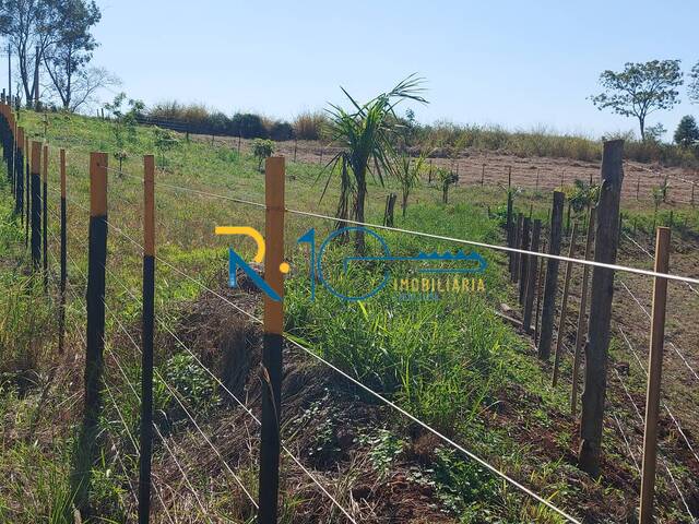 Chácara para Venda em Londrina - 5