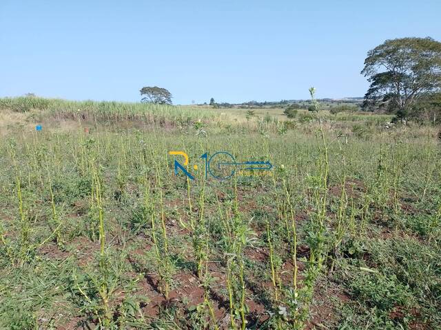 Chácara para Venda em Jataizinho - 4