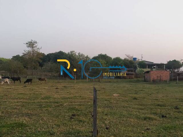 Sítio para Venda em Jataizinho - 4
