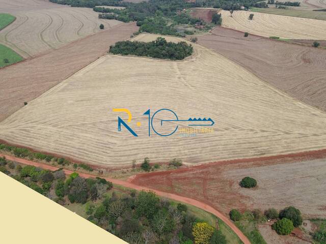 Sítio para Venda em Londrina - 4